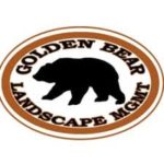 Golden Bear Management