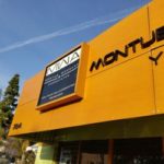 Montue Woodard & Associates